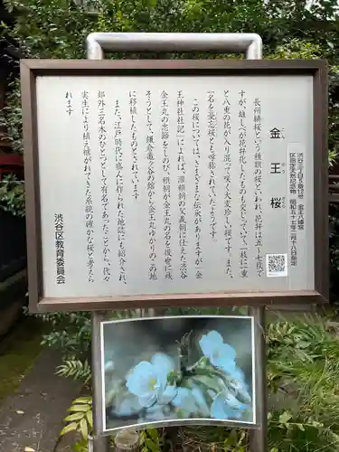 金王八幡宮(東京都)