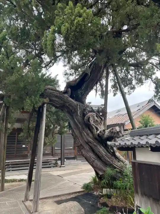 光明寺(愛知県)