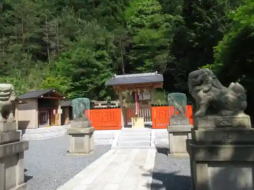 出世稲荷神社の狛犬