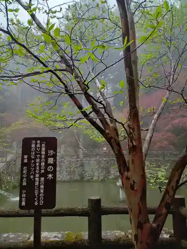 播州清水寺(兵庫県)