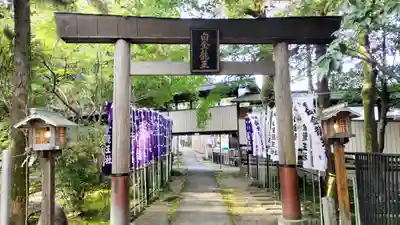 白金龍王社(愛知県)