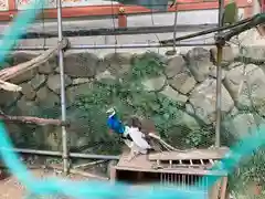 粉河産土神社（たのもしの宮）(和歌山県)