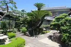 浄信寺の庭園