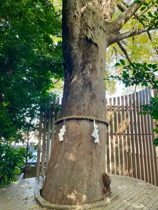 鎮守氷川神社(埼玉県)