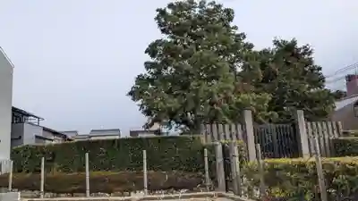 御輿町祠の周辺