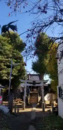 愛宕神社の鳥居