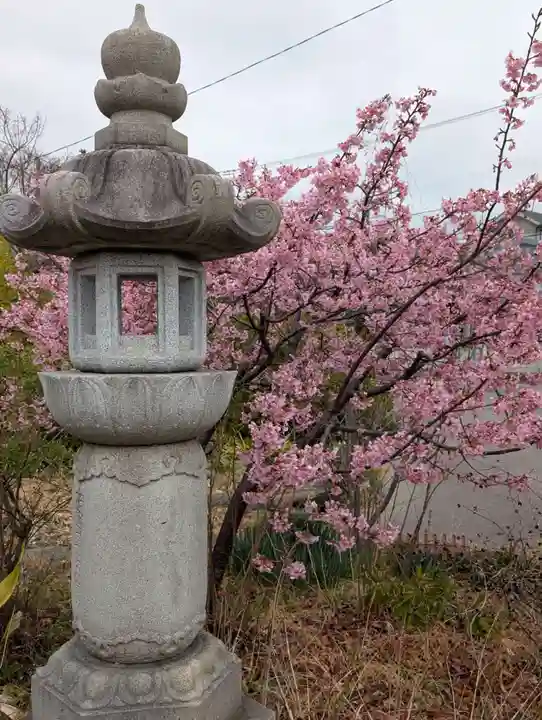 寳生院(東京都)
