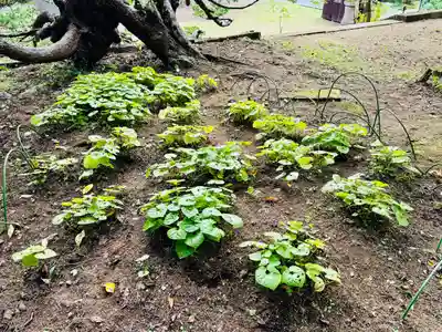 土津神社｜こどもと出世の神さま(福島県)