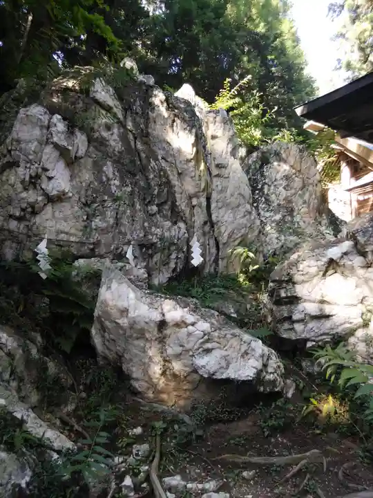 鹿島大神宮の自然