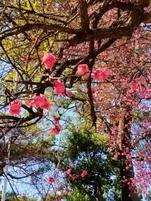 田端神社(東京都)