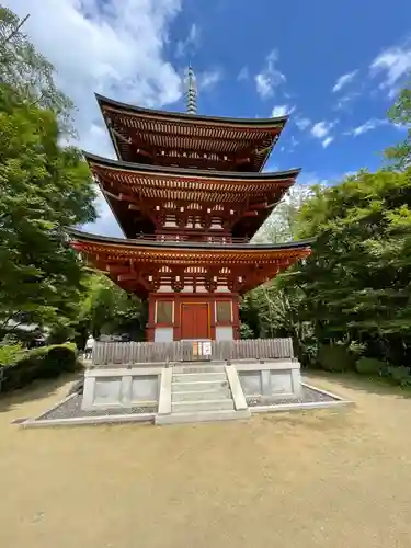 岡寺（龍蓋寺）の塔