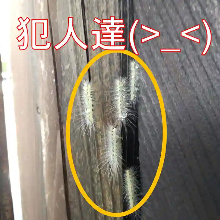 七重浜海津見神社(北海道)