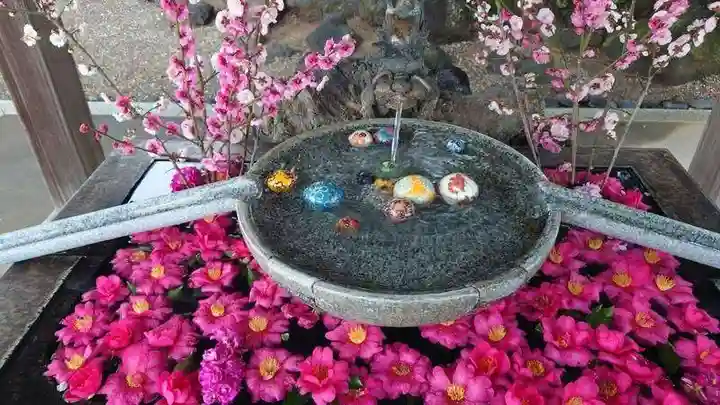 玉村八幡宮(群馬県)