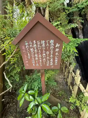 葛城一言主神社の{uncategorized: "未分類", other: "その他", undefined: "問題あり", building: "その他建物", grave: "お墓", sacred_gate: "鳥居", guardian: "狛犬", statue: "像", buddha: "仏像", history: "歴史", nature: "自然", garden: "庭園", animal: "動物", pagoda: "塔", temizu: "手水舎", mountain_gate: "山門・神門", sanctuary: "本殿・本堂", subordinate: "末社・摂社", art: "芸術", scenery: "景色", jizo: "地蔵", ema: "絵馬", goshuin: "御朱印", omikuji: "おみくじ", items: "授与品その他", amulet: "お守り", goshuincho: "御朱印帳", eats: "食事", festival: "お祭り", votive_dance: "神楽", shichigosan: "七五三参", wedding: "結婚式", experience: "体験その他", initially: "初詣", around: "周辺", anti_infection: "感染症対策"}
