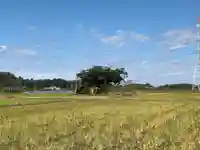 稲荷神社の周辺