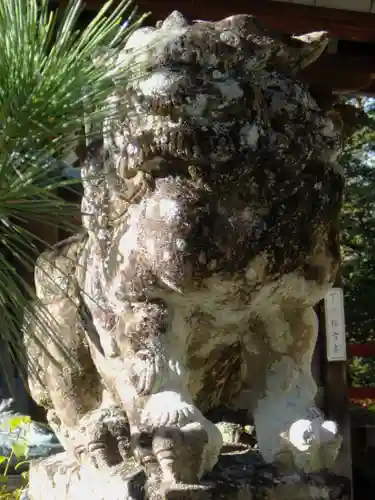 八大神社の狛犬