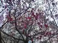 南宮神社(福岡県)