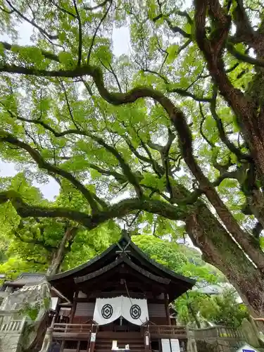 艮神社(広島県)
