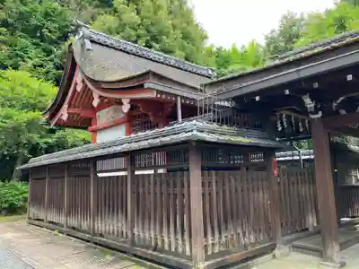 東福禅寺(東福寺)(京都府)