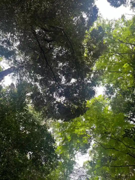 駒木諏訪神社(千葉県)