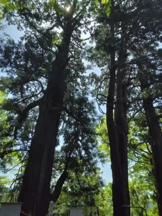 大岩山 最勝寺の自然