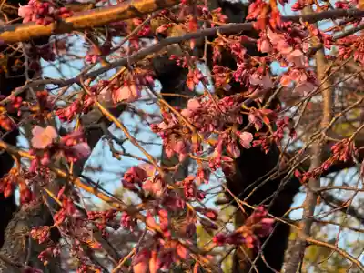 観音神社(広島県)