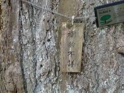 野津田薬師堂(福王寺)の自然