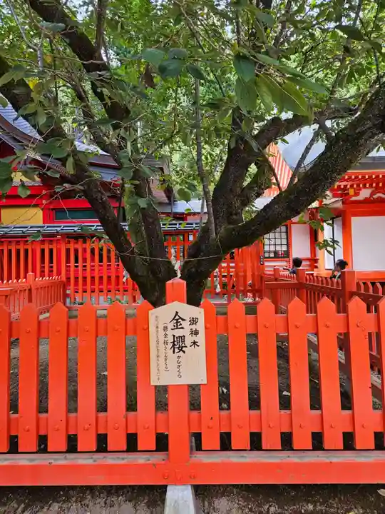 金櫻神社(山梨県)