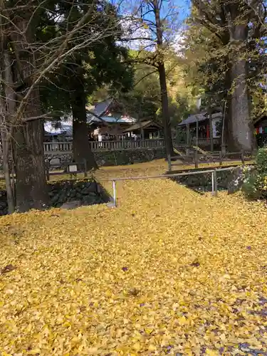 雲八幡宮の景色