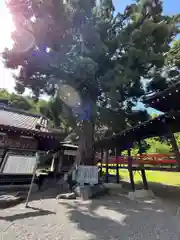 山梨岡神社(山梨県)