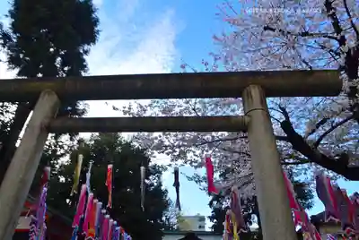 くまくま神社(導きの社 熊野町熊野神社)(東京都)