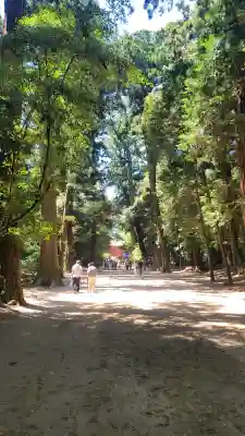 鹿島神宮(茨城県)