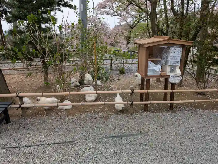 高屋敷稲荷神社(福島県)