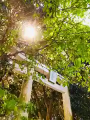 猿田神社の鳥居