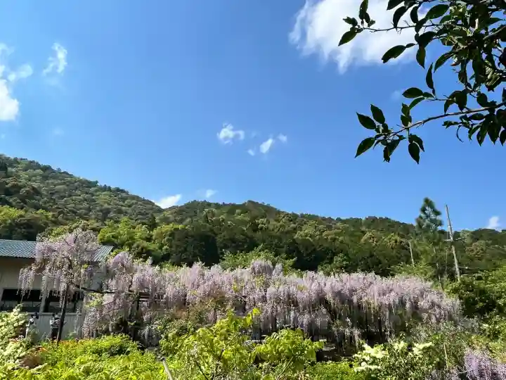 白毫寺熊野権現社(兵庫県)