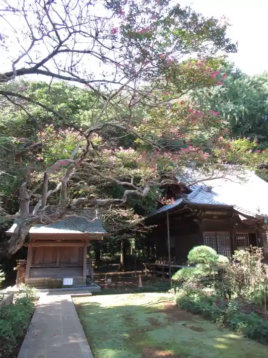 金乘院(千葉県)