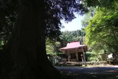 千手院の本殿・本堂