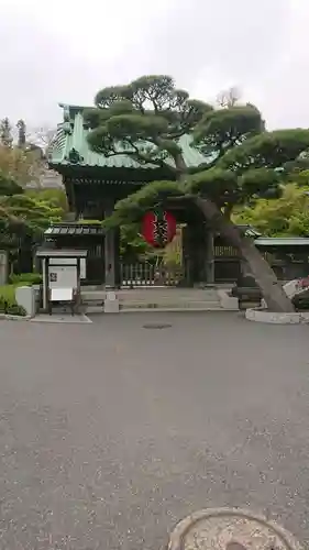 長谷寺の山門