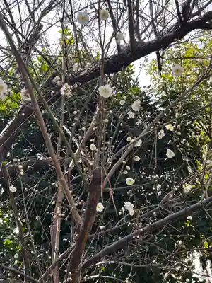 鶴嶺八幡宮(神奈川県)
