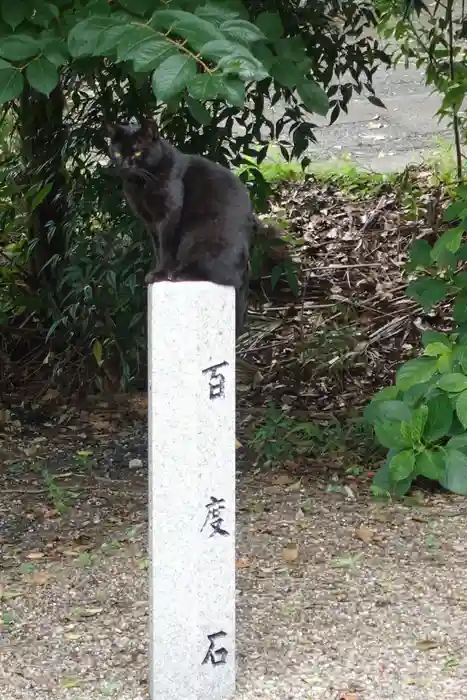 岡山行者堂の建物その他