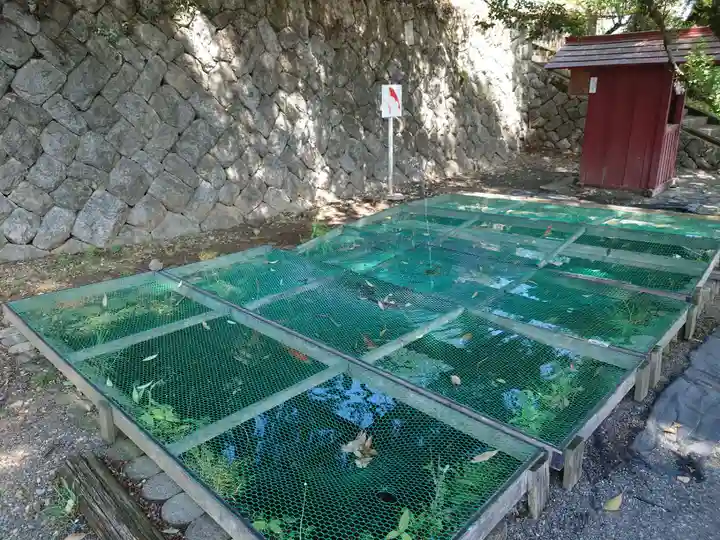 賀茂別雷神社(栃木県)