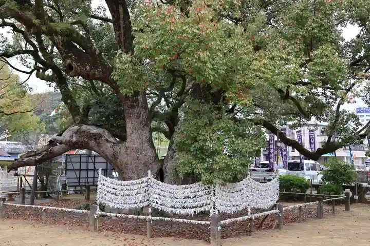 諫早神社(九州総守護 四面宮)(長崎県)