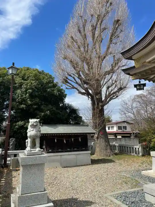 氷川神社の{uncategorized: "未分類", other: "その他", undefined: "問題あり", building: "その他建物", grave: "お墓", sacred_gate: "鳥居", guardian: "狛犬", statue: "像", buddha: "仏像", history: "歴史", nature: "自然", garden: "庭園", animal: "動物", pagoda: "塔", temizu: "手水舎", mountain_gate: "山門・神門", sanctuary: "本殿・本堂", subordinate: "末社・摂社", art: "芸術", scenery: "景色", jizo: "地蔵", ema: "絵馬", goshuin: "御朱印", omikuji: "おみくじ", items: "授与品その他", amulet: "お守り", goshuincho: "御朱印帳", eats: "食事", festival: "お祭り", votive_dance: "神楽", shichigosan: "七五三参", wedding: "結婚式", experience: "体験その他", initially: "初詣", around: "周辺", anti_infection: "感染症対策"}