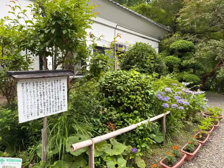 大洞院(静岡県)