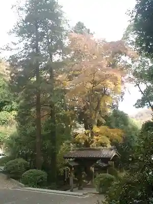 浄智寺のその他建物