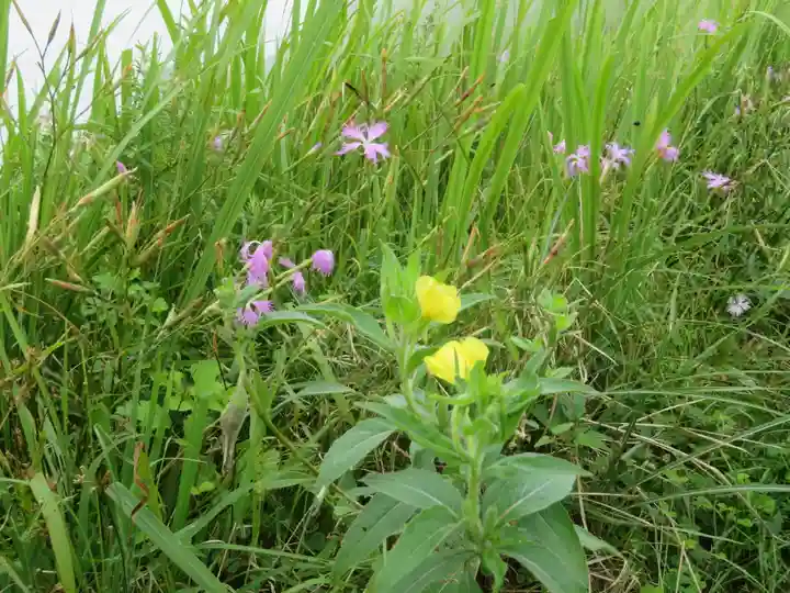大室山浅間神社の自然