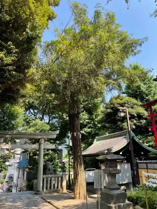 居木神社の自然