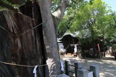 阿邪訶根神社の本殿・本堂