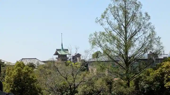 知恩院(京都府)
