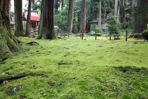 平泉寺白山神社(福井県)
